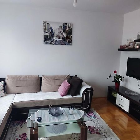 Apartman Dunja Pluzine Exterior photo