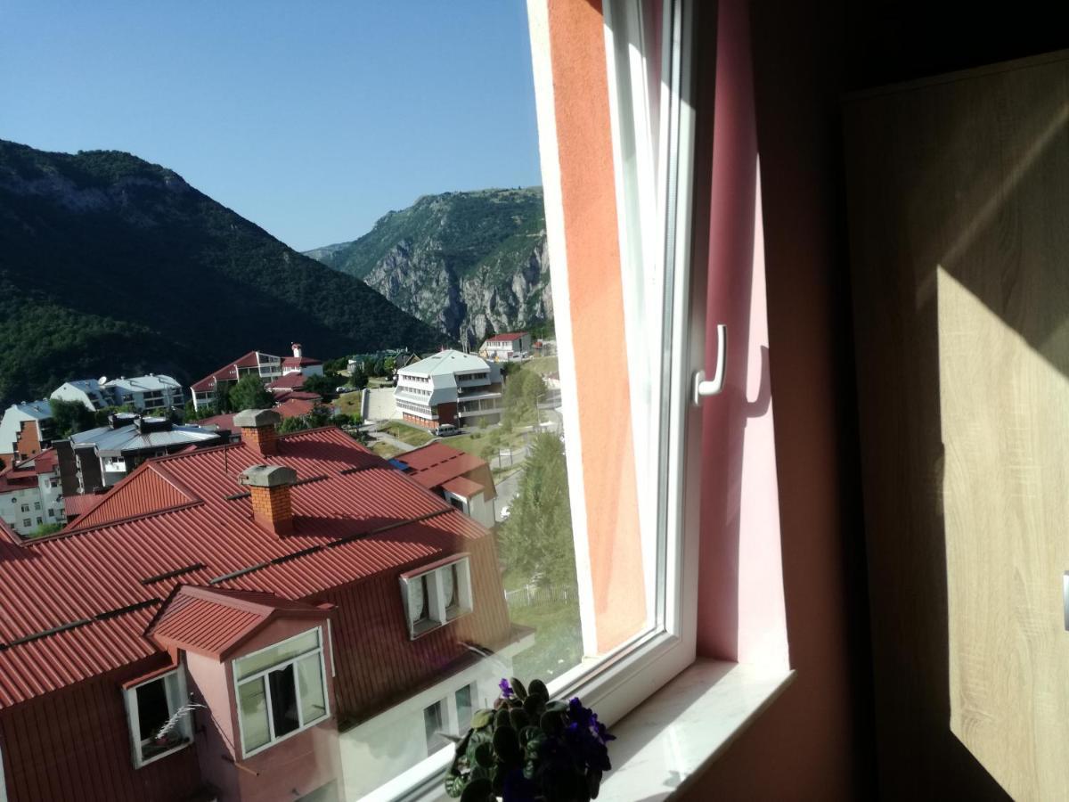 Apartman Dunja Pluzine Exterior photo