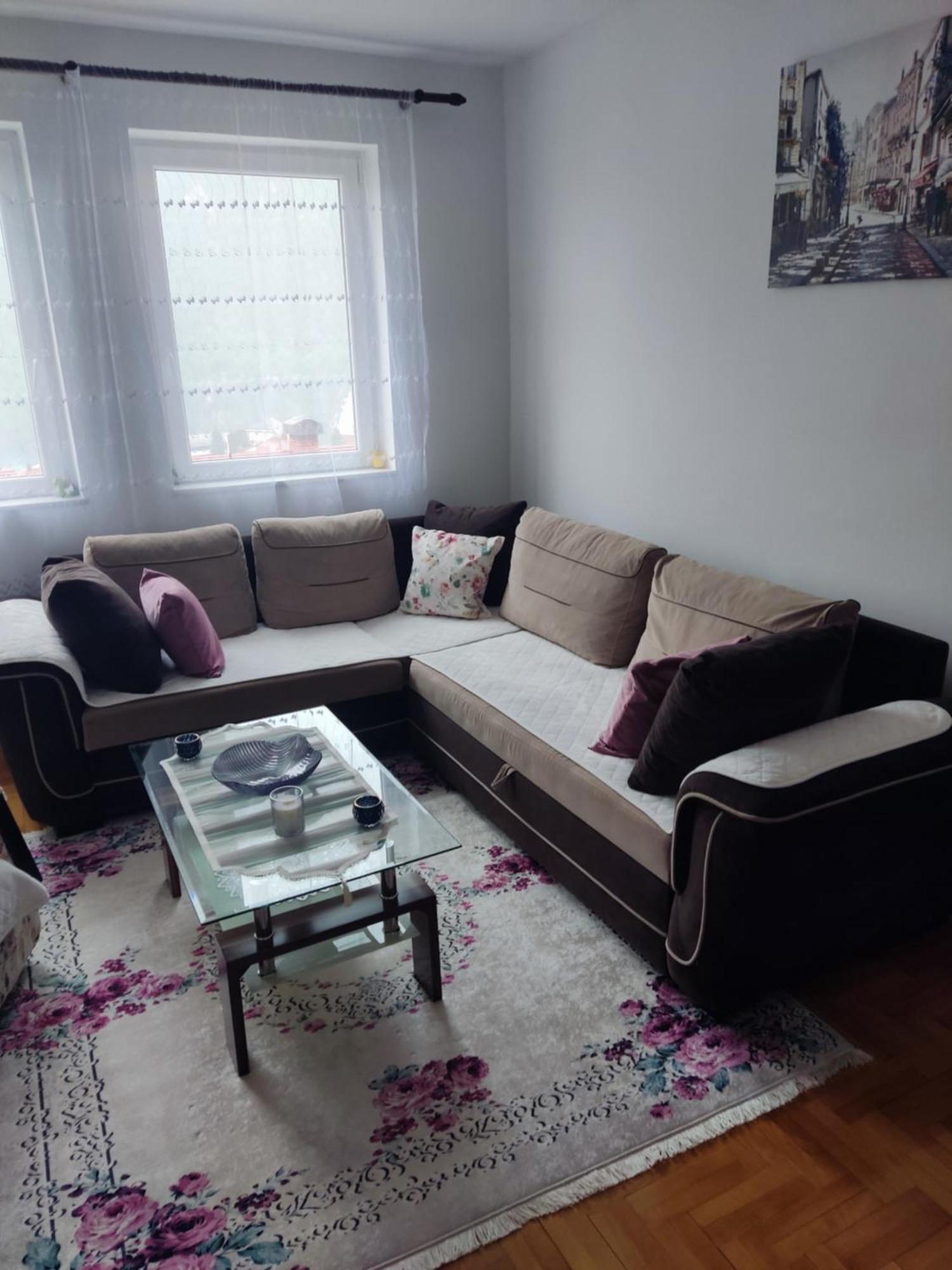 Apartman Dunja Pluzine Exterior photo